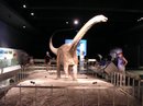 DSCN1157.jpg